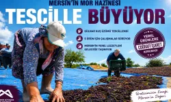 Yerel ürünler tek tek tescilleniyor
