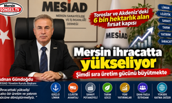 Mersin ihracatta yükseliyor, gözler yeni yatırımlarda