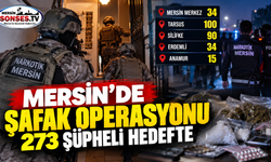 Mersin'de operasyon: 273 şüpheli hedefte