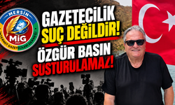 Şehitoğlu: Gazetecilik suç değildir!
