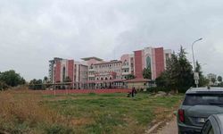 Adana'da okulda dedikodu kavgası: Kız öğrenci arkadaşını ekmek bıçağıyla yaraladı