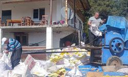 Andırın'da yerli mısır hasadı, Patosta çekilen mahsul güneşte kurutuluyor