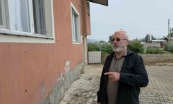 Depremin ardından ortaya çıkan salyangozlar mahalleyi ele geçirdi