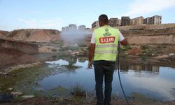 Hatay'da haşere ve vektör mücadelesi sürüyor