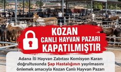Kozan canlı hayvan pazarı şap hastalığı nedeniyle kapatıldı