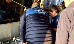 Mersin'de yasa dışı balık avcılığına karşı denetimler sürüyor
