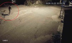 Motosikletle gelip köpeği çalan hırsızlara sitem: 'Köpek çalmak nedir'