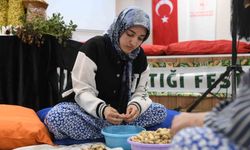 Osmaniye'de üniversiteli kızlar fıstık kırma yarışmasında kıyasıya mücadele etti