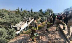 Zeytinliğe uçan kamyonetin sürücüsü yaralandı