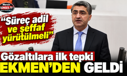 Gözaltılara ilk tepki Ekmen’den geldi