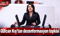 CHP'li Gülcan Kış’tan dezenformasyon tepkisi