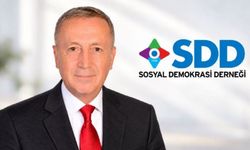 SDD’den üç başkanvekiline destek mesajı