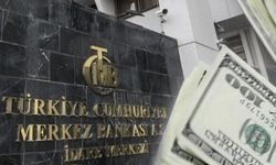 Merkez Bankası borç stokunu paylaştı