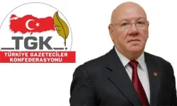 TGK Genel Başkanı Kolaylı: 'Meslektaşlarımızın serbest bırakılmasını bekliyoruz'