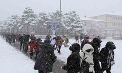 Erzincan'da kar yağışı nedeniyle taşımalı eğitime ara verildi