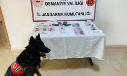 Jandarma uyuşturucu operasyonu;4 gözaltı
