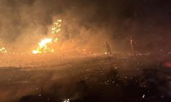 İzmir cayır cayır yandı! 6 ilçede ormanlar kül oldu