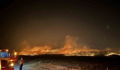 ABD’de orman yangını: 52 bin dönümden fazla alan kül oldu