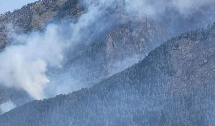 Balkanlar’daki sıcak hava dalgası orman yangınlarına neden oldu