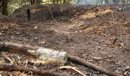 İspanya 14 farklı noktada orman yangını: 7 ölü