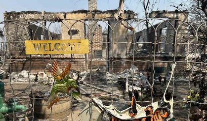 ABD’de orman yangını: 13 bin dönümlük arazi kül oldu