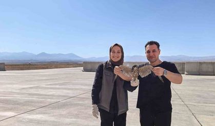 Bitkin halde bulunan yaralı Delice Doğan tedavi altına alındı