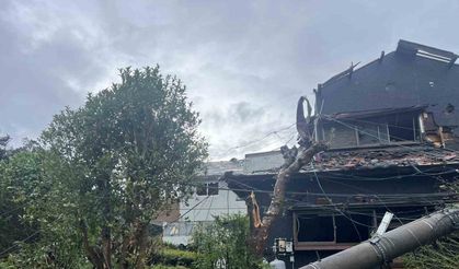 Peipah Tayfunu Japonya’yı vurdu: 14 bin 450 hanede elektrik kesintisi