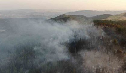 Vali Taşolar’dan orman yangınını ihbar eden çocuğa teşekkür