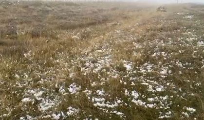 Ardahan’ın yüksek kesimlerinde kar yağışı etkili oldu