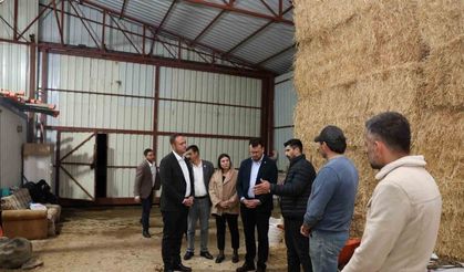 Başkan Dere, şap hastalığından mağdur olan aileleri yalnız bırakmadı