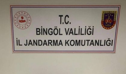 Bingöl’de uyuşturucu ve kaçakçılıkla mücadele: 34 gözaltı