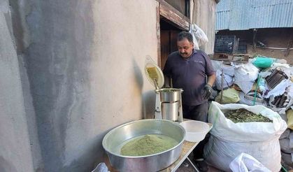 Doğanın hediyesi: 120 bitkiden oluşan zetrin baharatı yeniden keşfediliyor