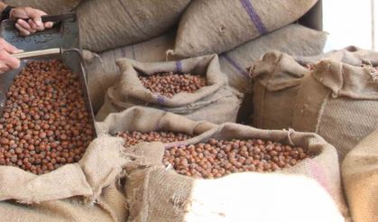 Fındıkta üreticinin 400 lira hedefi başka bahara kaldı