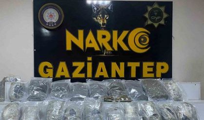 Gaziantep’te 13 kilo skunk ele geçirildi