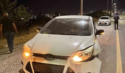 Malatya’da otomobilin çarptığı domuz telef oldu