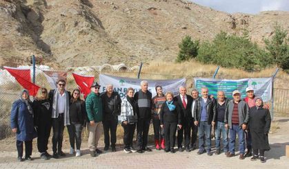 Sivas’ta üniversite öğrencileri 7 günde 30 bin fidan dikti