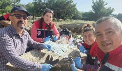 Söke’de kırsal mahallelerdeki tavuklardan kuş gribi numunesi alındı