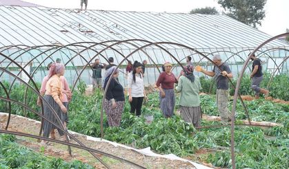 Mersin’de fırtına ve hortum seralara zarar verdi