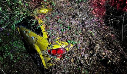 Sürücüsünün içinde olduğu otomobilin üzerine ağaç devrildi