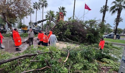 Mersin’de Ağaç 3 Aracın Üzerine Devrildi