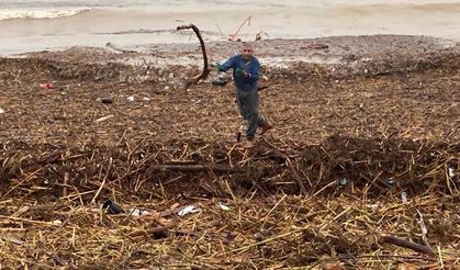 Sel sonrası deniz kahverengi oldu, sahiller odun doldu
