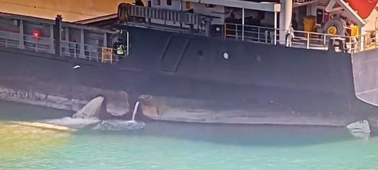 Mersin'de denizi kirleten gemiye 13 milyon TL ceza kesildi, gemi rıhtıma bağlandı