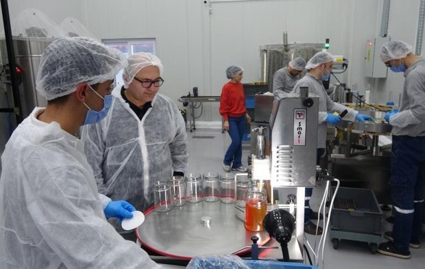 Mersin Balı Dünya Standartlarında