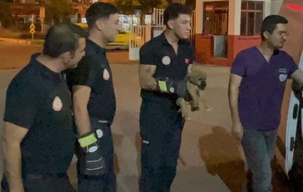 Otomobilin motoruna sıkışan yavru köpeği itfaiye kurtardı