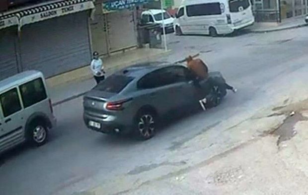 El sallayıp karşıya geçmek isterken otomobil çarptı