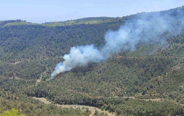 Erdemli'de Orman Yangını: 1,5 Hektar Kül Oldu