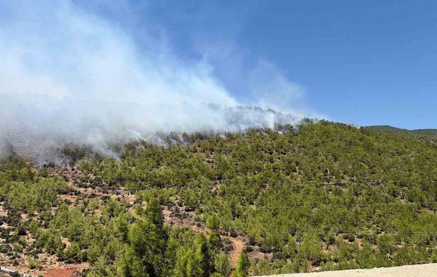 Aydıncık'ta Yangına Havadan ve Karadan Müdahale