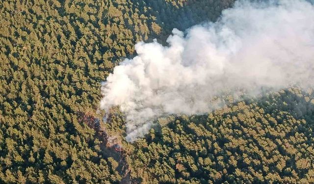 Hatay’da orman yangınına havadan ve karadan müdahale sürüyor