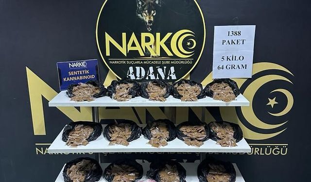 5 kilo bonzai ele geçirildi, 1 kişi tutuklandı