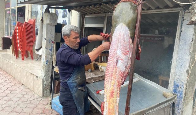 Osmaniyeli balıkçıya 37 bin TL’lik yayın balığı piyangosu
